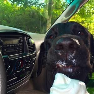 Meet your Posher, Aaron